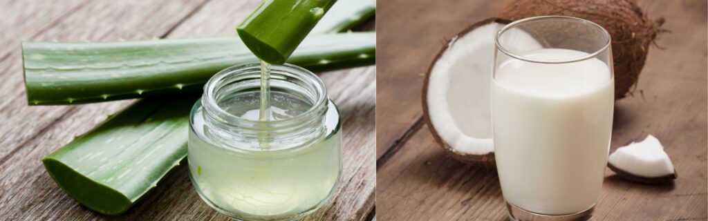  Aloe Vera and Coconut milk